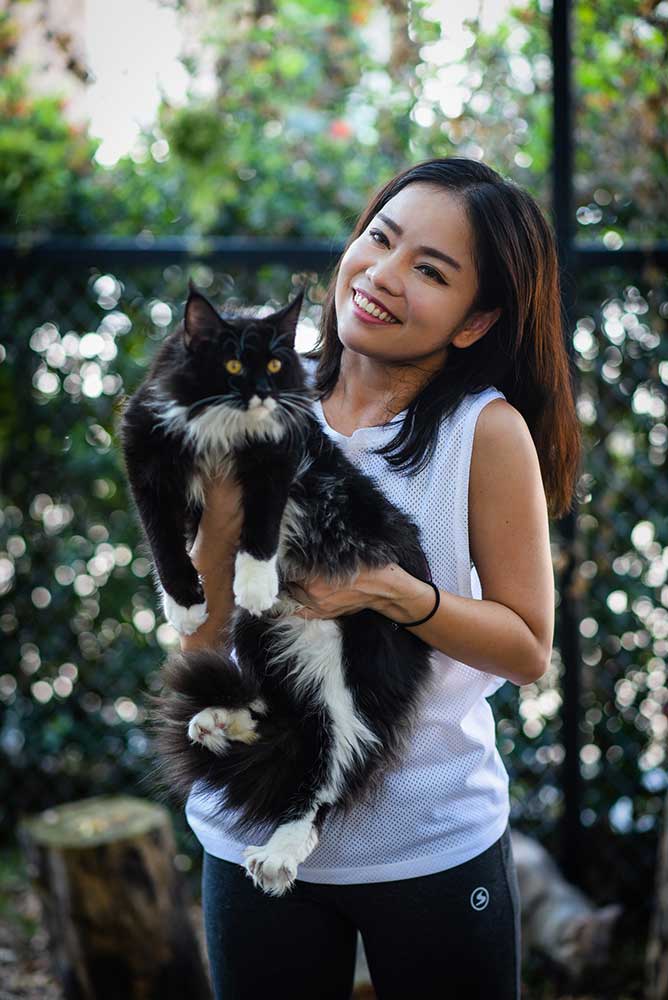 Winsochacoon Main Coon Cattery in Bangkok, Thailand.